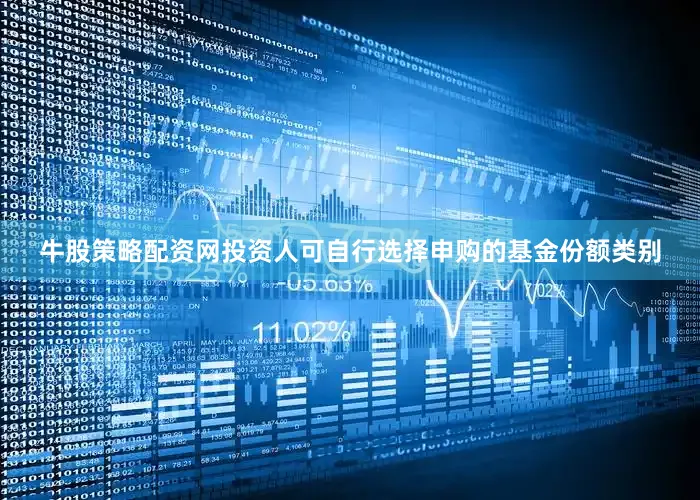牛股策略配资网投资人可自行选择申购的基金份额类别