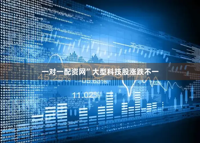 一对一配资网”　　大型科技股涨跌不一
