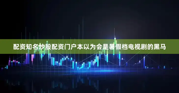 配资知名炒股配资门户本以为会是暑假档电视剧的黑马