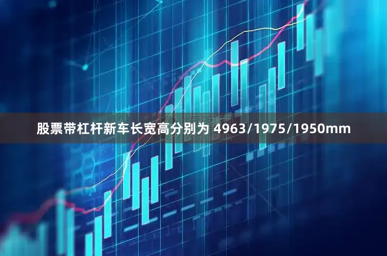 股票带杠杆新车长宽高分别为 4963/1975/1950mm